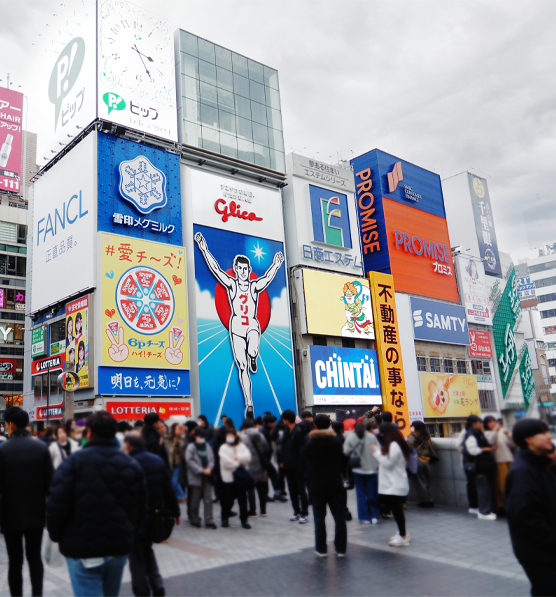 Osaka Wonderful Tour