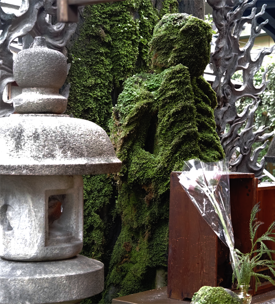 Osaka Wonderful Tour