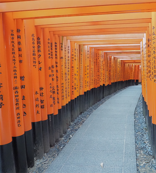 Kyoto Highlight Tour 1