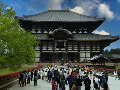Nara Wonderful Tour