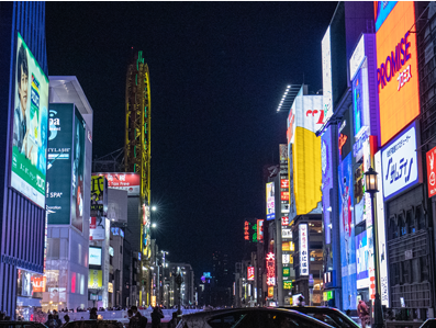 Osaka Night Tour